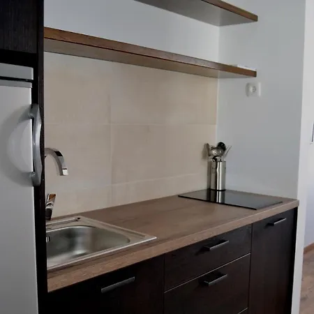Apartman Marija, Vila Suri Kopaonik Exterior photo